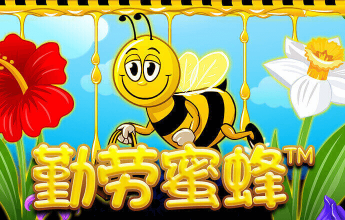 乐动体育app全站官网
